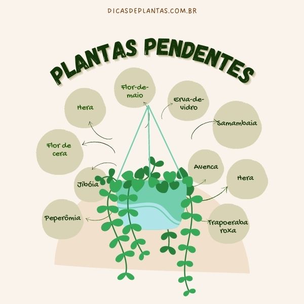Plantas pendentes: 10 espécies para ter em casa, Paisagismo